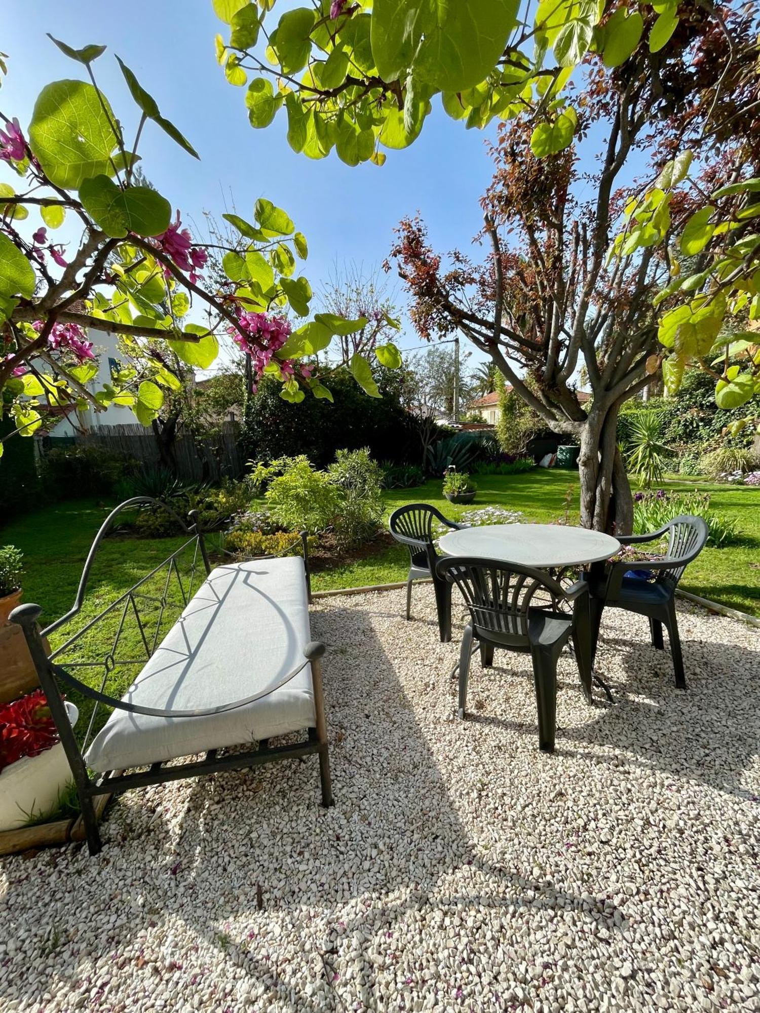 Appartement Rez De Villa Proche Port Et Plages De Sanary المظهر الخارجي الصورة